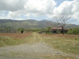 Residential lot For Sale in Danvers Pen, St. Thomas Jamaica | [2]