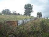Residential lot For Sale in Mandeville, Manchester Jamaica | [8]