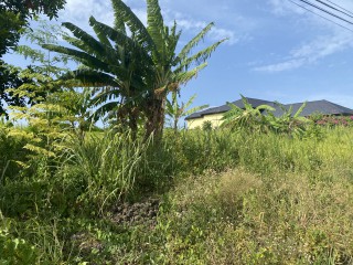 Land For Sale in Tower Isle, St. Mary, Jamaica