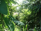 Residential lot For Sale in Smokey Vale, Kingston / St. Andrew Jamaica | [2]