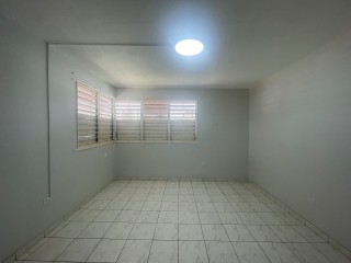 Apartment For Rent in New Kingston, Kingston / St. Andrew Jamaica | [5]