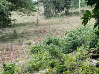 Commercial/farm land For Sale in Trelawny, Trelawny Jamaica | [3]