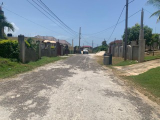 Residential lot For Sale in LUANA PEN BLACK RIVER, St. Elizabeth, Jamaica