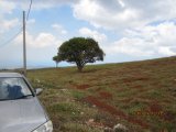 Residential lot For Sale in Malvern, St. Elizabeth Jamaica | [2]
