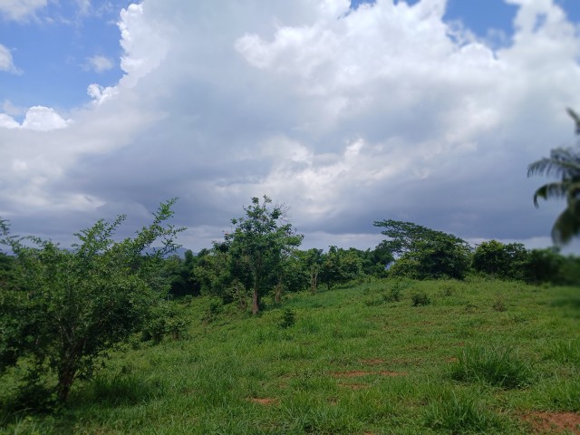 Land For Sale in Linstead, St. Catherine Jamaica | [4]