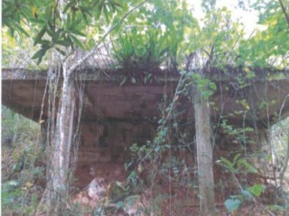 Residential lot For Sale in Crawle Spring Vale, St. Catherine Jamaica | [1]