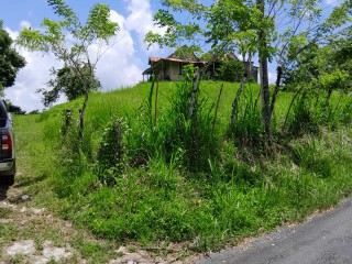 Land For Sale in Seaford Town, Westmoreland, Jamaica