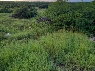 Land For Sale in Sandhills Hellshire, St. Catherine Jamaica | [2]