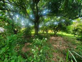 House For Sale in Kingston 8, Kingston / St. Andrew Jamaica | [14]