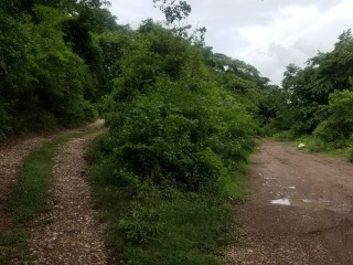 Residential lot For Sale in Clarendon, Clarendon Jamaica | [3]