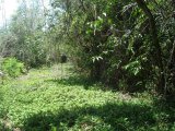 Residential lot For Sale in Stony Hill, Kingston / St. Andrew Jamaica | [3]