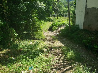 Land For Sale in Frankfield, Clarendon, Jamaica