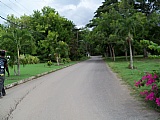Residential lot For Sale in Ocho Rios, St. Ann Jamaica | [2]