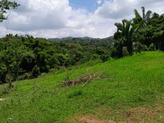 Land For Sale in Seaford Town, Westmoreland, Jamaica