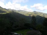 House For Sale in Near Holywell Park, Kingston / St. Andrew Jamaica | [13]