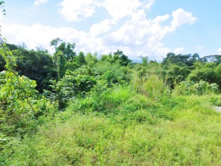 Land For Sale in Linstead, St. Catherine, Jamaica