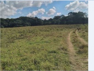 Land For Sale in Bogue, St. Elizabeth Jamaica | [4]