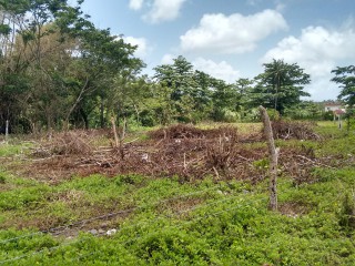 Residential lot For Sale in Hope Bay, Portland Jamaica | [1]