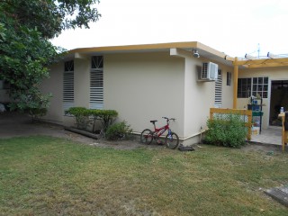 House For Rent in Roehampton Circle, Kingston / St. Andrew Jamaica | [12]