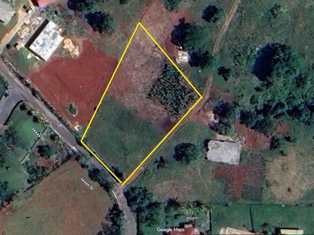 Land For Sale in Spur Tree Mandeville, Manchester Jamaica | [6]