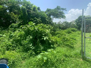 Residential lot For Sale in LUANA PEN BLACK RIVER, St. Elizabeth, Jamaica