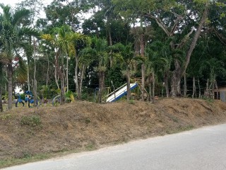 Land For Sale in Grange Hill, Westmoreland, Jamaica