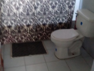 Apartment For Rent in Rhyne Park, St. James Jamaica | [13]