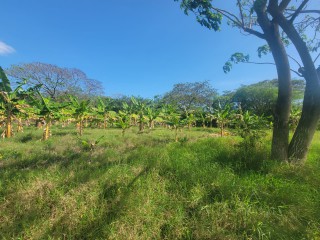 Commercial/farm land For Sale in Old Harbour, St. Catherine, Jamaica