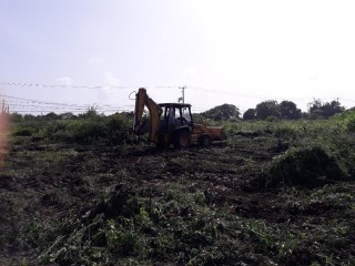 Commercial/farm land For Rent in Denbigh, Clarendon Jamaica | [4]