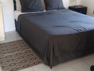 Apartment For Rent in Rhyne Park, St. James Jamaica | [8]