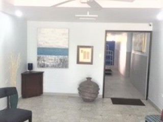 Apartment For Rent in NEW KINGSTON, Kingston / St. Andrew Jamaica | [9]