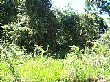 Commercial/farm land For Sale in Sligoville, St. Catherine Jamaica | [2]