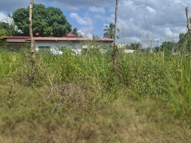Residential lot For Sale in Homstead Park, St. Catherine Jamaica | [8]