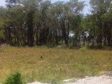 Residential lot For Sale in Lacovia, St. Elizabeth Jamaica | [12]