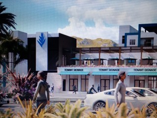 Space For Rent in New Brunswick Village, St. Catherine Jamaica | [1]