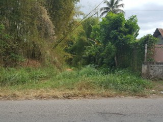 Commercial/farm land For Sale in Linstead, St. Catherine Jamaica | [1]