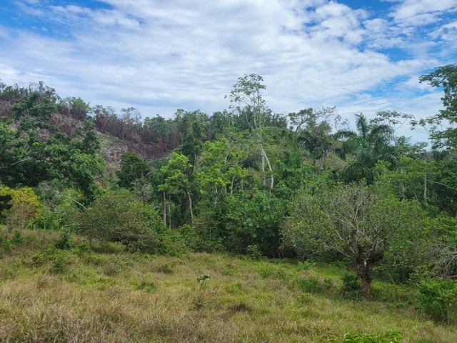 Development Land (Residential) For Sale in Mammee Ridge, St. Ann Jamaica | [1]