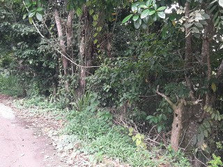 Residential lot For Sale in Coopers Hill Red Hills KGN 19, Kingston / St. Andrew, Jamaica