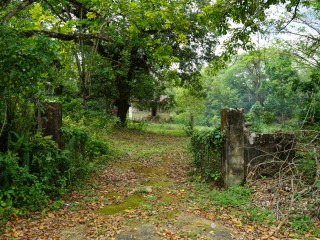 Residential lot For Sale in Brighton Santa Cruz, St. Elizabeth Jamaica | [1]