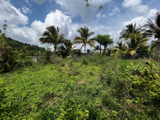 Land For Sale – Bethel Town, Westmoreland, Jamaica