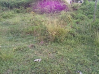 Residential lot For Sale in May Pen, Clarendon, Jamaica