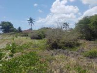 Resort/vacation property For Sale in YALLAHS, St. Thomas Jamaica | [6]