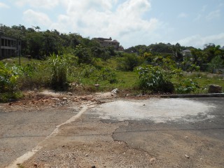 Residential lot For Sale in Godfrey Lands, Manchester Jamaica | [6]