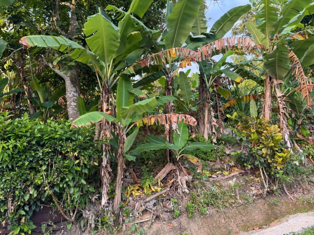 Residential lot For Sale in May Pen, Clarendon Jamaica | [3]