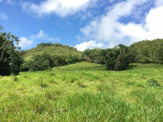 Residential lot For Sale in Chippenham Park Bamboo, St. Ann Jamaica | [7]