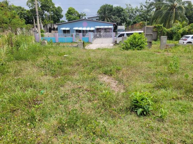 Residential lot For Sale in Avon Park, St. Catherine Jamaica | [3]