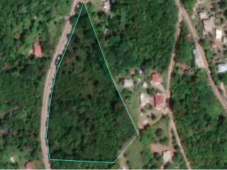 Commercial land For Sale in Spur Tree, Manchester Jamaica | [5]