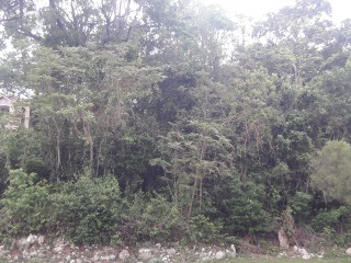 Residential lot For Sale in Moorlands Estate, Manchester Jamaica | [5]