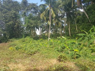 Commercial/farm land For Sale in Highgate, St. Mary Jamaica | [2]