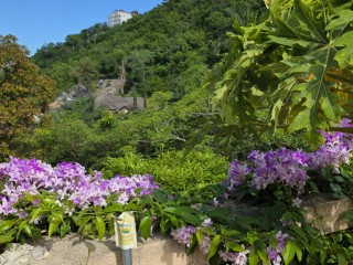Apartment For Rent in Smokey vale, Kingston / St. Andrew Jamaica | [13]